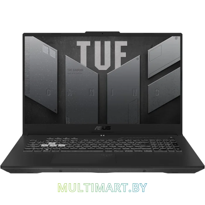 Игровой ноутбук ASUS TUF Gaming A17 2022 FA707RR-HX001 (90NR0B41-M002P0)